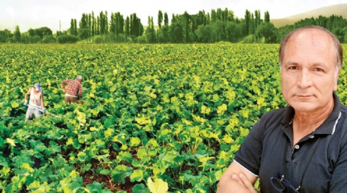 AKP'li belediye IŞİD hayranından doğal tarım projesi için görüş almış
