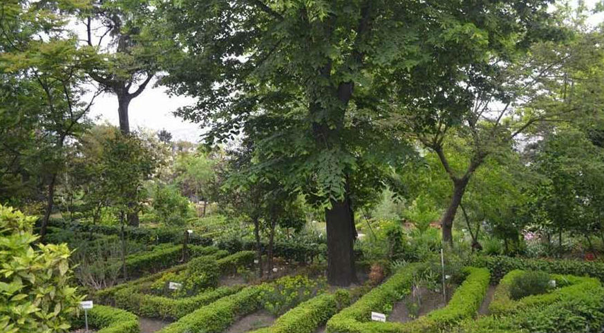 İstanbul Üniversitesi'nin Botanik Bahçesi Diyanet’e tahsis edilmiş!