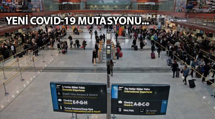 İngiltere dahil 4 ülke ile uçuşlar durduruldu: Karar sonrası ilk yolcular İstanbul'da