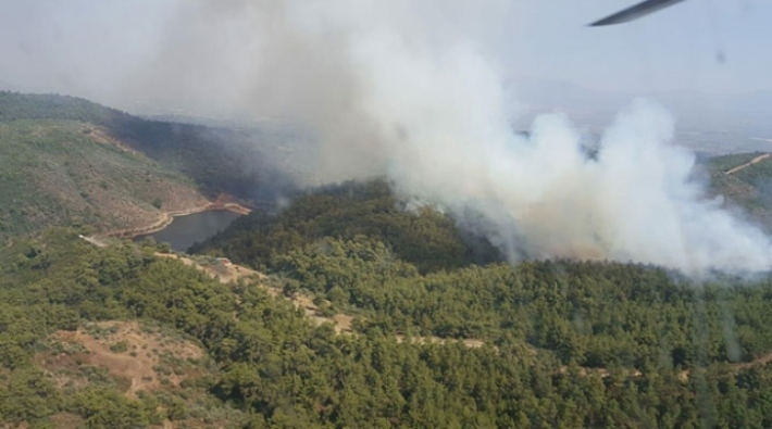 İzmir Torbalı'da ormanlık arazide yangın