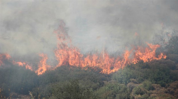 İzmir'de iki ayrı bölgede orman yangını