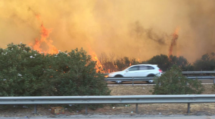 İzmir'de makilik alanda yangın: Çeşme otobanı kapatıldı