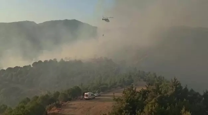 İzmir'in ilçesi Ödemiş'te ormanlık alanda yangın