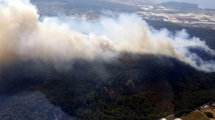 İzmir'deki yangınla ilgili bir kişi gözaltına alındı: 'Eğer birisi kasıtlı olarak yangını çıkardıysa bunun cezası müebbettir'