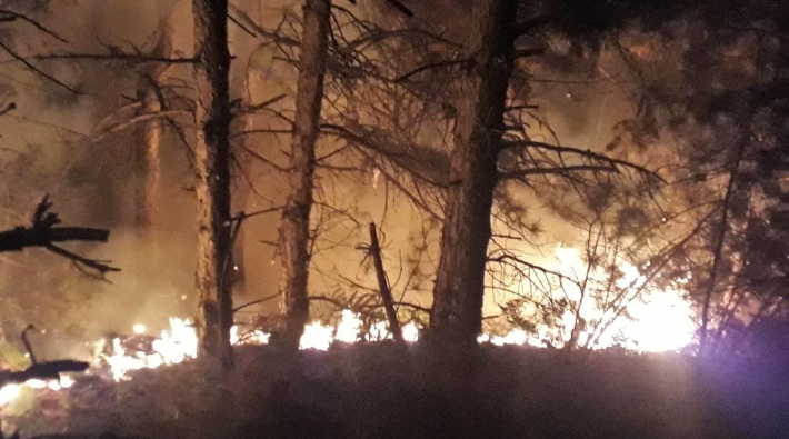İzmir'den Balıkesir'e sıçrayan yangında 100 hektar ormanlık alan yandı