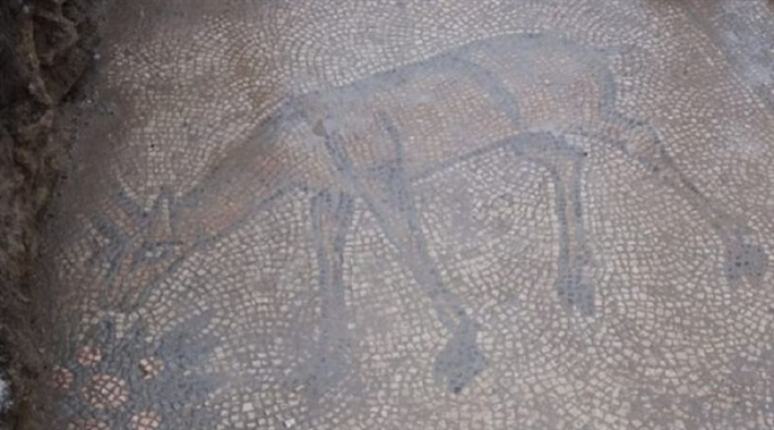 Kaçak kazı yapan defineciler 1500 yıllık mozaik buldu