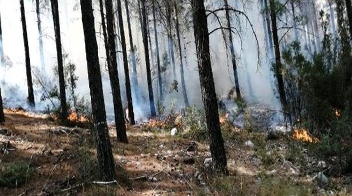 Kaş'ta orman yangını