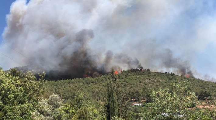 Kaş'ta şüpheli yangınlar sonucu ranta açılan bölgede yeniden yangın çıktı 