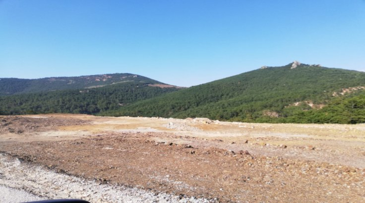 Kirazlı'da altın madeni arama projesi sonucu 195 bin ağaç katledildi!