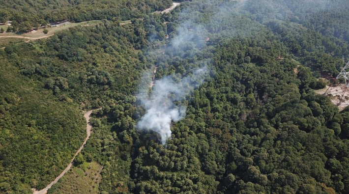 Anadolu Kavağı'nda ormanlık alan 100 metre içinde 30 metre aralıklarla yakılmış