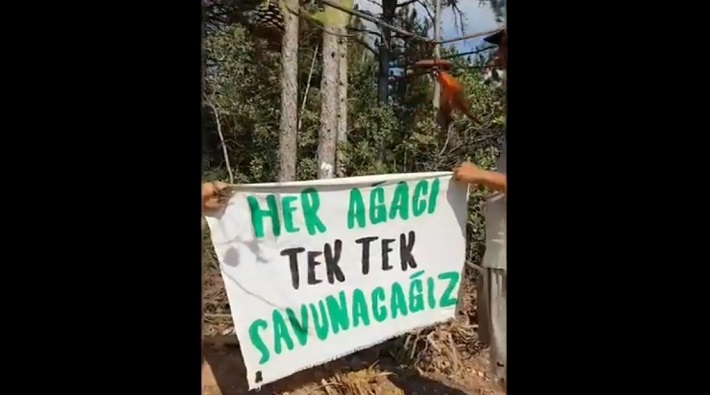 Kaz Dağları'ndaki Su ve Vicdan Nöbeti devam ediyor: Direnişçiler ağaçları numaralandırdı