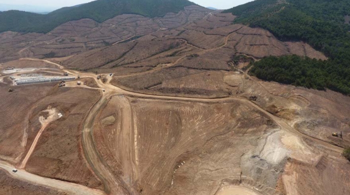 Kaz Dağları'nda maden kıyımının boyutu: 347 bin 815 ağacı katlettiler