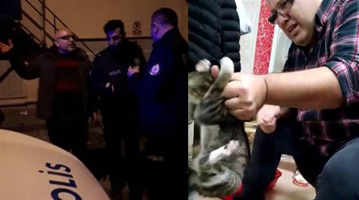 Kediye işkence eden iş insanı gözaltına alındı