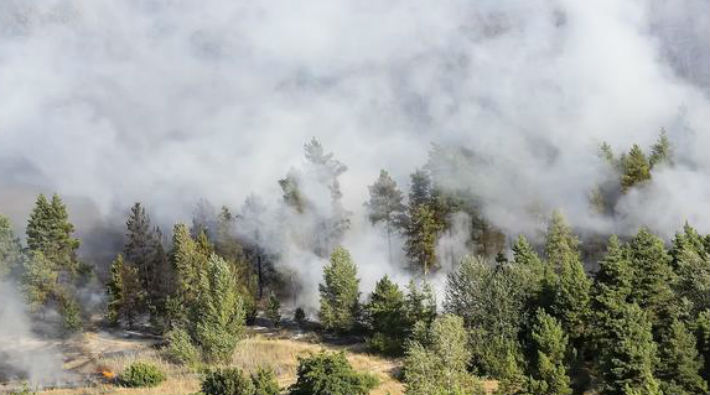Kırım'da Orman Yangını Söndürülemiyor