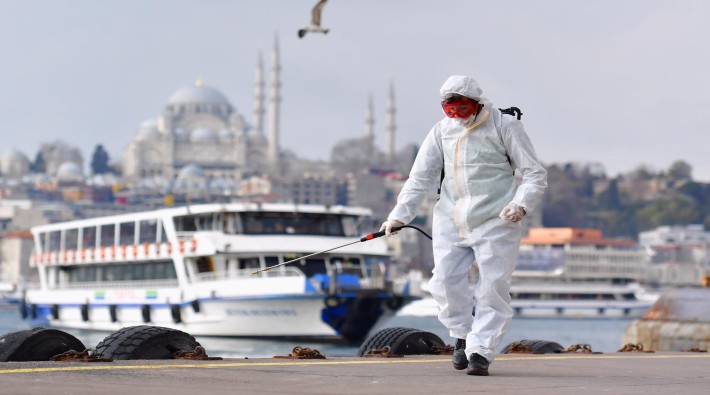 'Türkiye'de virüs sebebiyle yaşamını yitirenlerin sayısı 3 bin 786'ya ulaştı'