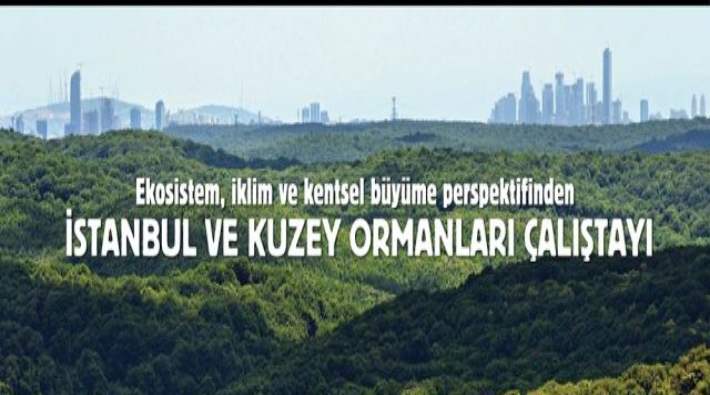 İstanbul ve Kuzey Ormanları Çalıştayı sona erdi: Kuzey Ormanları nasıl korunacak?