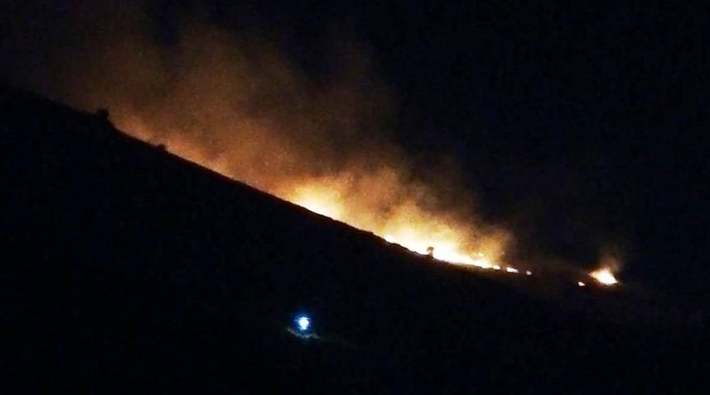   Beydağı’nda çıkan yangın, 5 hektarlık alanı küle çevirdi