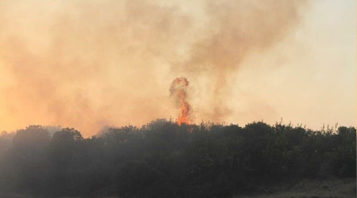 Manisa'da 6 farklı noktada orman yangını