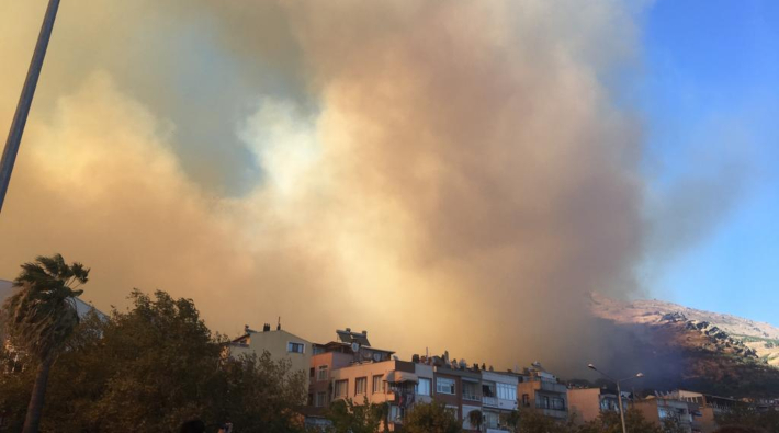 Çanakkale ve Marmara Adası'nda yangın