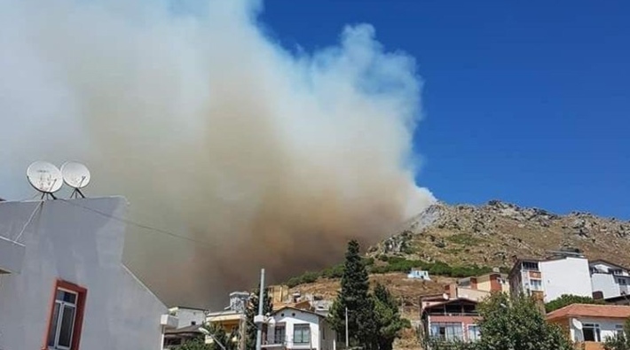 Marmara Adası'ndaki yangınla ilgili iki kişi tutuklandı