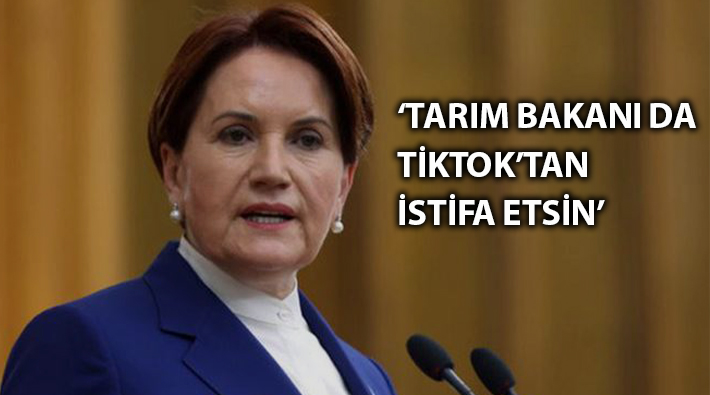 Meral Akşener: Tarım Bakanı da TikTok üzerinden istifa etsin 
