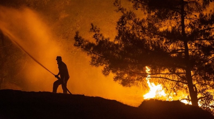 Mersin ve Hatay'da orman yangınları söndürüldü: 4 kişi gözaltında