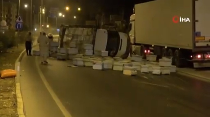 Mersin'de arı kovanı yüklü kamyonet devrildi: Olay yerine arıcıların dışında kimse yaklaşamadı 