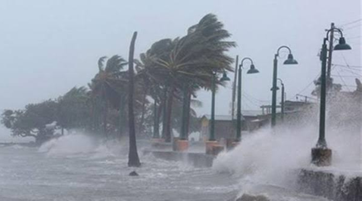 Meteoroloji'den Marmara için fırtına uyarısı: Ağaçlar devrilebilir