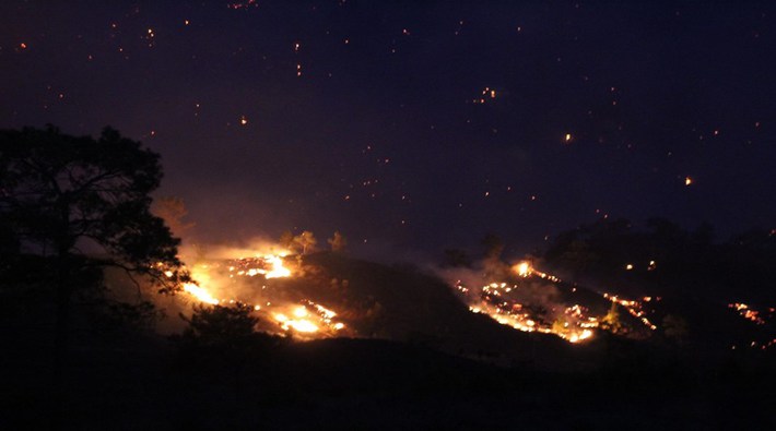 Muğla'da orman yangını 250 hektarlık alanda sürüyor