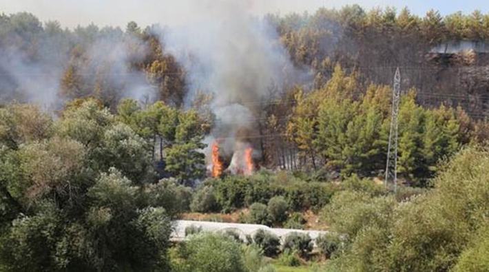 Muğla ve Antalya'da orman yangınları