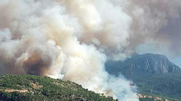 Muğla’da orman yangını: Yerleşim yerlerine sıçrayan yangında 30'a yakın ev yandı