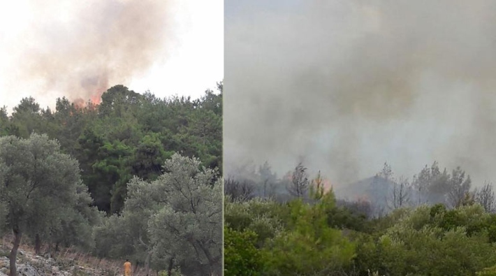 Milas'taki orman yangını kontrol altına alındı