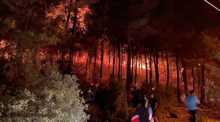 İktidar yanmayan ormanları da otellere peşkeş çekiyor