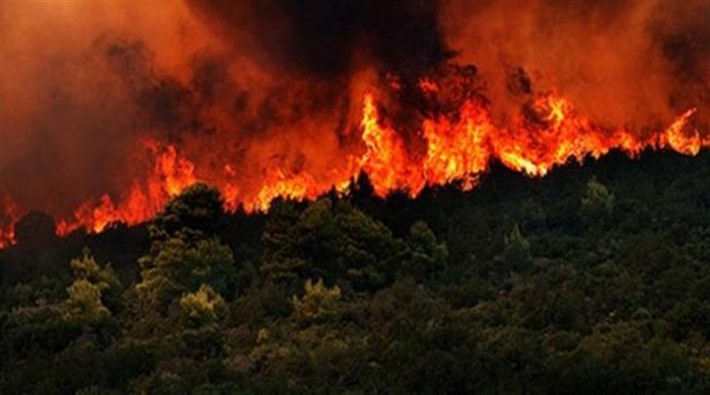 Orman yangını haritası: ‘Faili meçhul’ adı altında yok ediliyor!