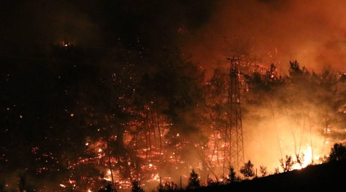 Osmaniye'de orman yangını: 6 gözaltı