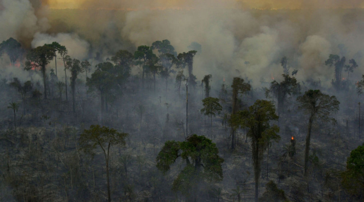 Paraguay'da orman yangınları devam ediyor