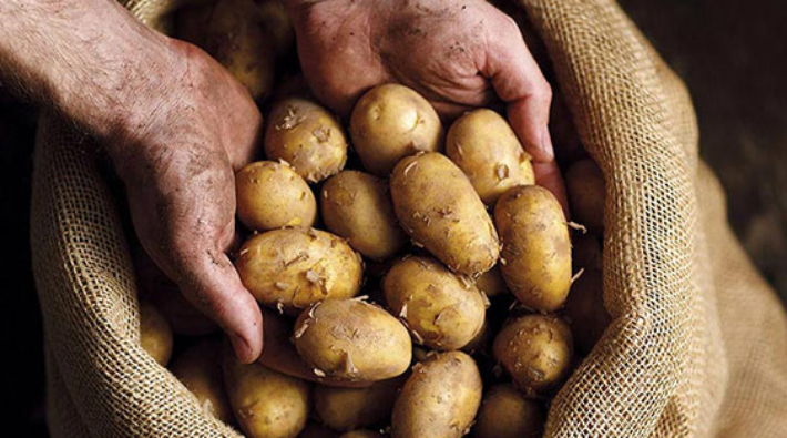 Patates üreticileri hükümete tepkili