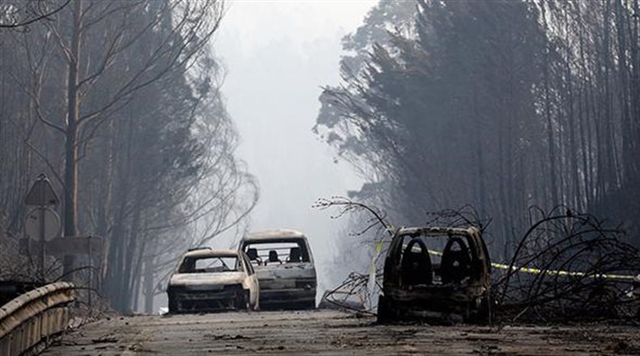 Portekiz'de orman yangını: 61 ölü