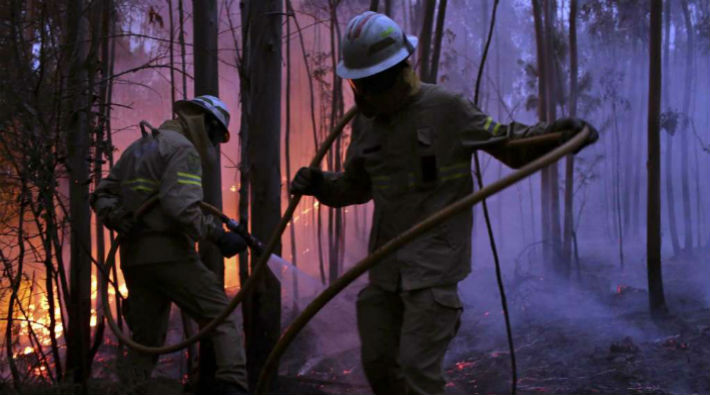 Portekiz'de orman yangını: En az 39 kişi hayatını kaybetti