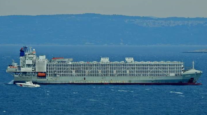 Şarbon taşıyan gemi Akdeniz'de liman bulamadı