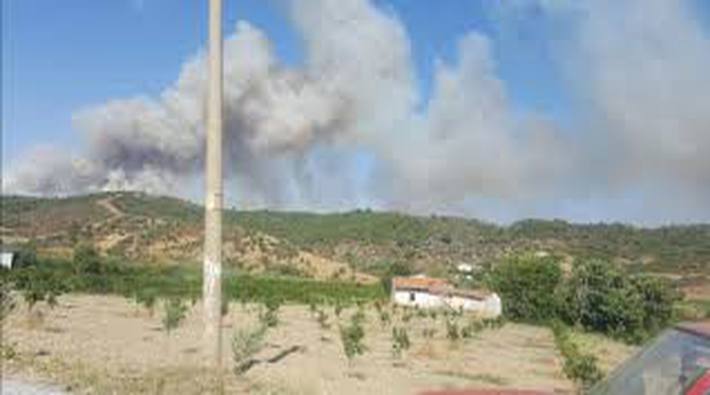 İzmir'de orman yangını: 2 gözaltı