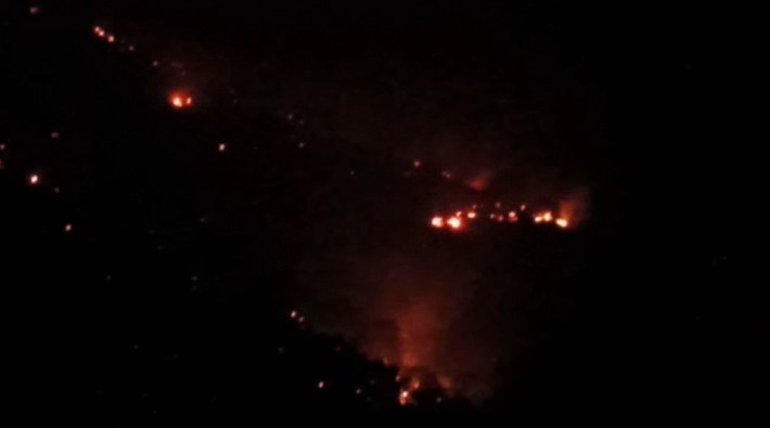 Şemdinli'de orman yangını 