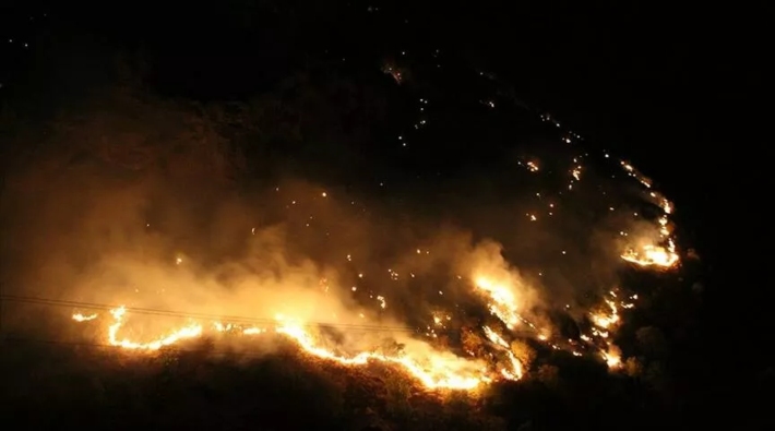 Şemdinli'de orman yangını çıktı 