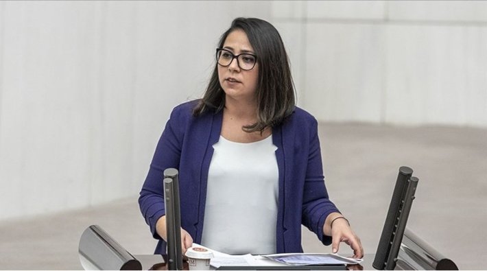 TİP Milletvekili Sera Kadıgil'den Giresun'da siyanür atıklarının doğaya karışmasına ilişkin soru önergesi 
