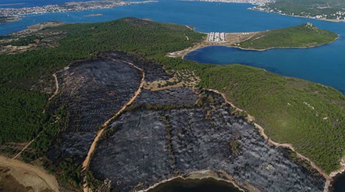 Kitle örgütleri: Ayvalık'ta yanan alanlar tahrip ediliyor