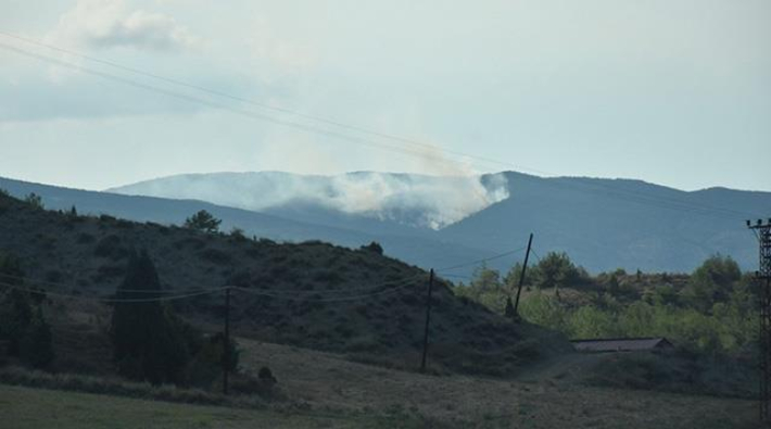 Sinop'ta ormanlık arazide yangın çıktı