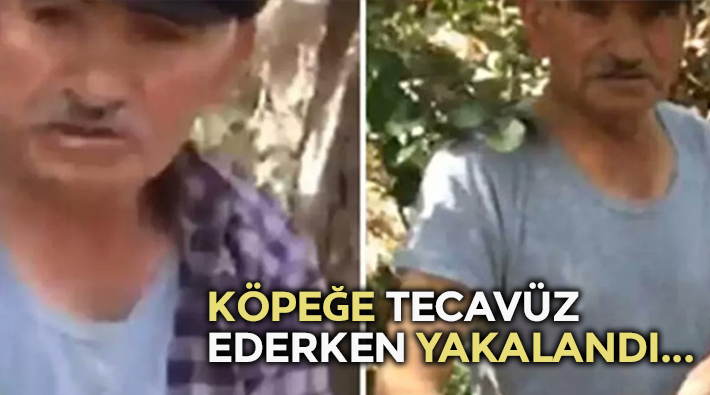 Sivas'ta 75 yaşındaki Şükrü Bayram köpeğe tecavüz ederken yakalandı!