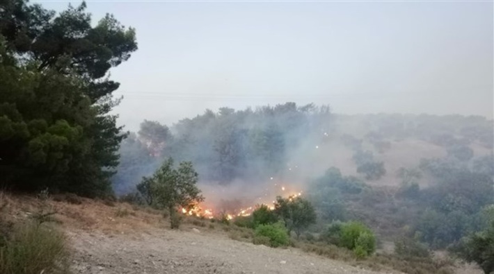Soma'da orman yangını!