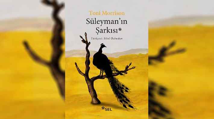 Özgürlüğe uçanlar: 'Süleyman’ın Şarkısı'