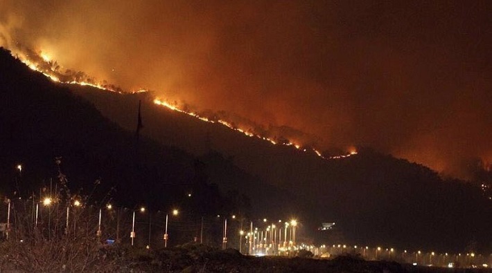 Sürmene'de çıkan orman yangını ile ilgili Birleşik Haziran Hareketi Trabzon Meclisi açıklama yaptı